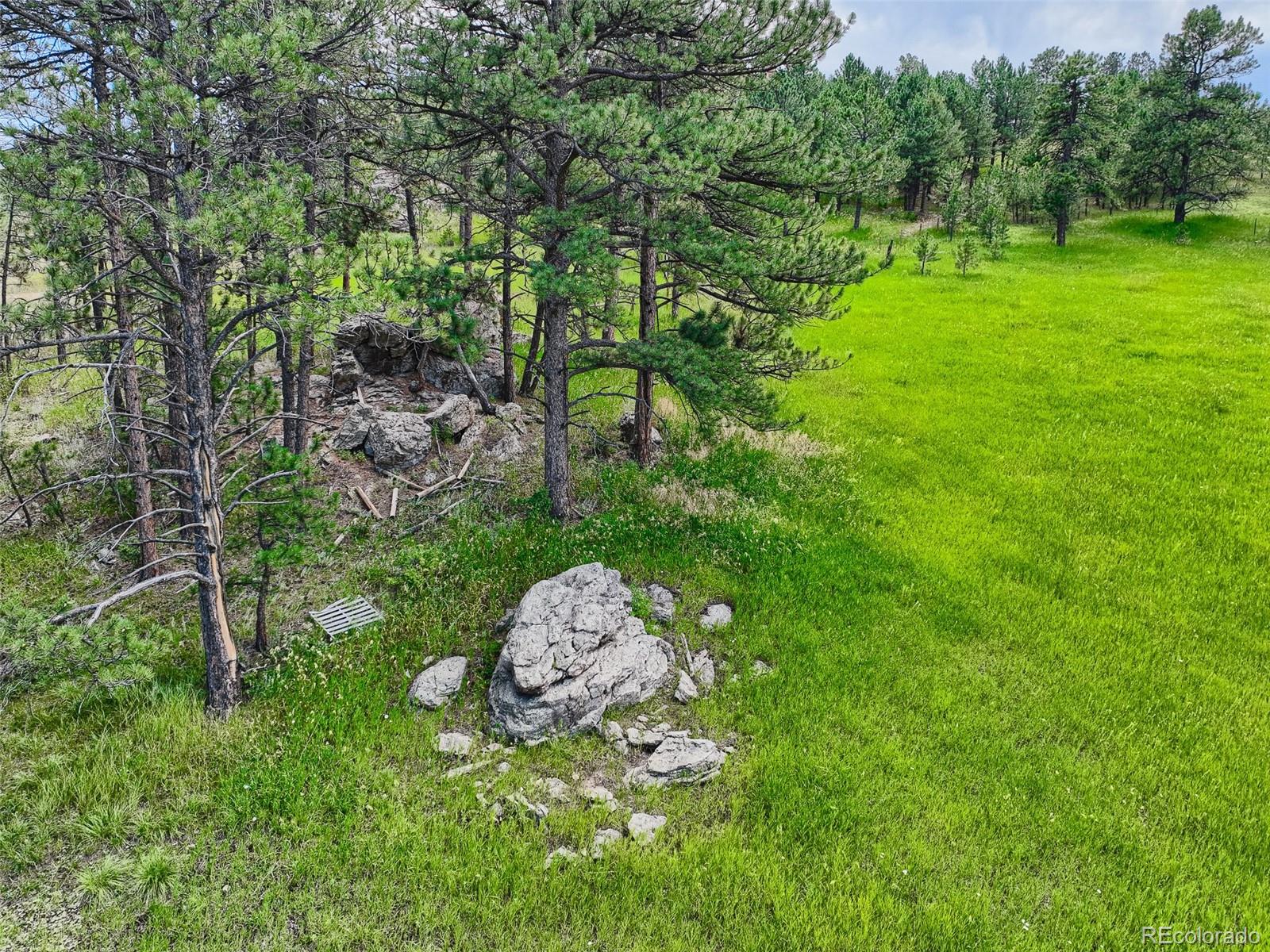 2117 Wieler Road Evergreen, CO 80439 - Photo 14 of 40 Gallery Image 14