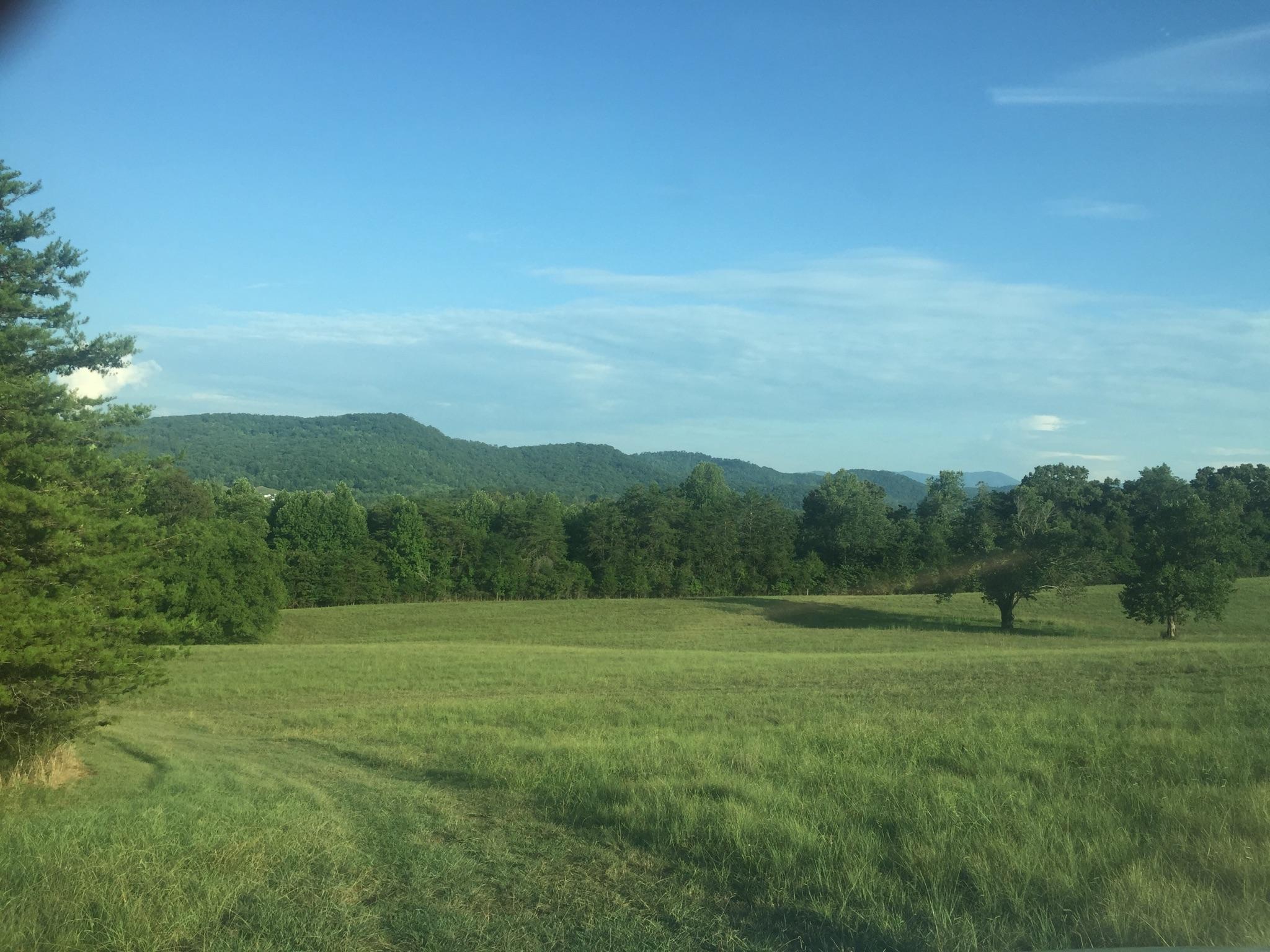 1028 B Fairview Road Tellico Plains, TN 37385 - Photo 19 of 38 Wallace pic 1