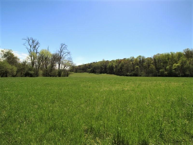 1028 B Fairview Road Tellico Plains, TN 37385 - Photo 23 of 38 IMG_5255