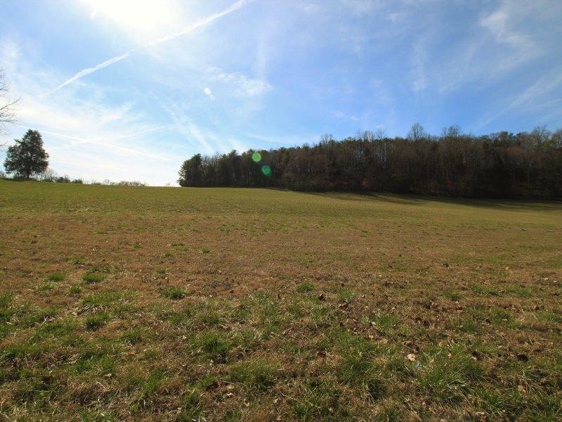 1028 B Fairview Road Tellico Plains, TN 37385 - Photo 30 of 38 IMG_4436