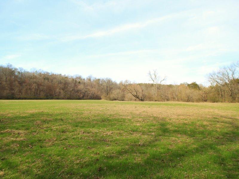 1028 B Fairview Road Tellico Plains, TN 37385 - Photo 31 of 38 IMG_4442