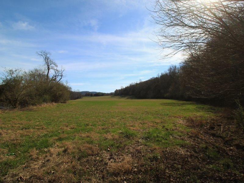 1028 B Fairview Road Tellico Plains, TN 37385 - Photo 32 of 38 IMG_4454
