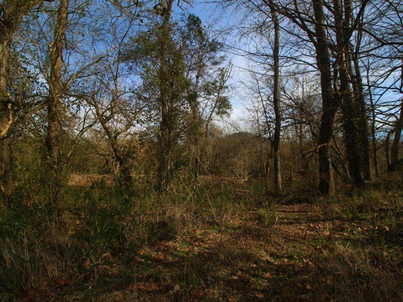 1028 B Fairview Road Tellico Plains, TN 37385 - Photo 35 of 38 IMG_4427