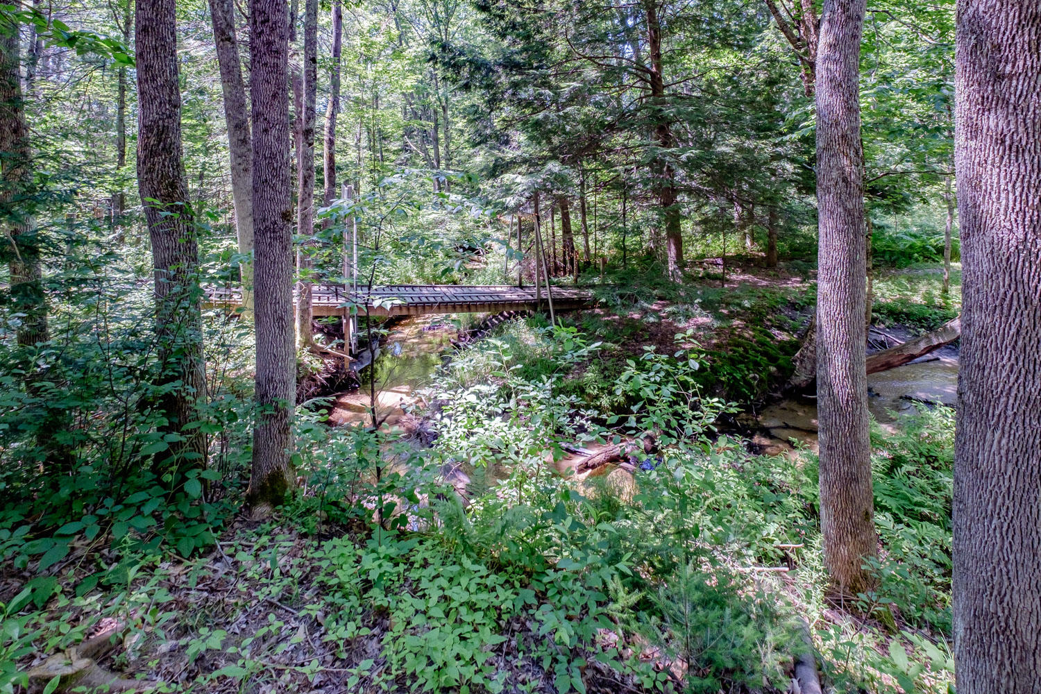 8 Heather Lane Cumberland Center, ME 04021 - Photo 41 of 43 20190708gp-60111