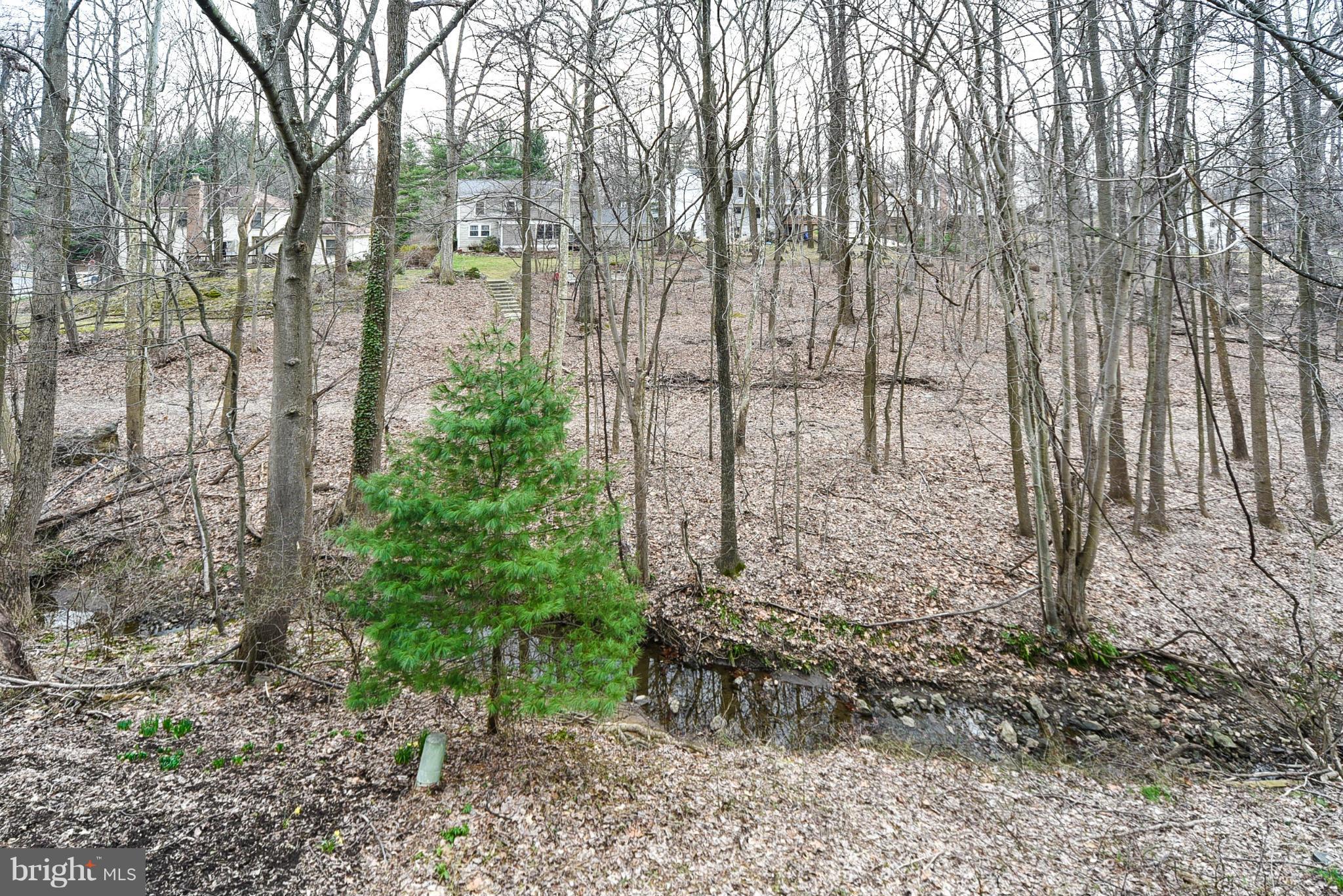 321 Lyric Lane Silver Spring, MD 20901 - Photo 26 of 30 Scenic woods/creek view from main level deck