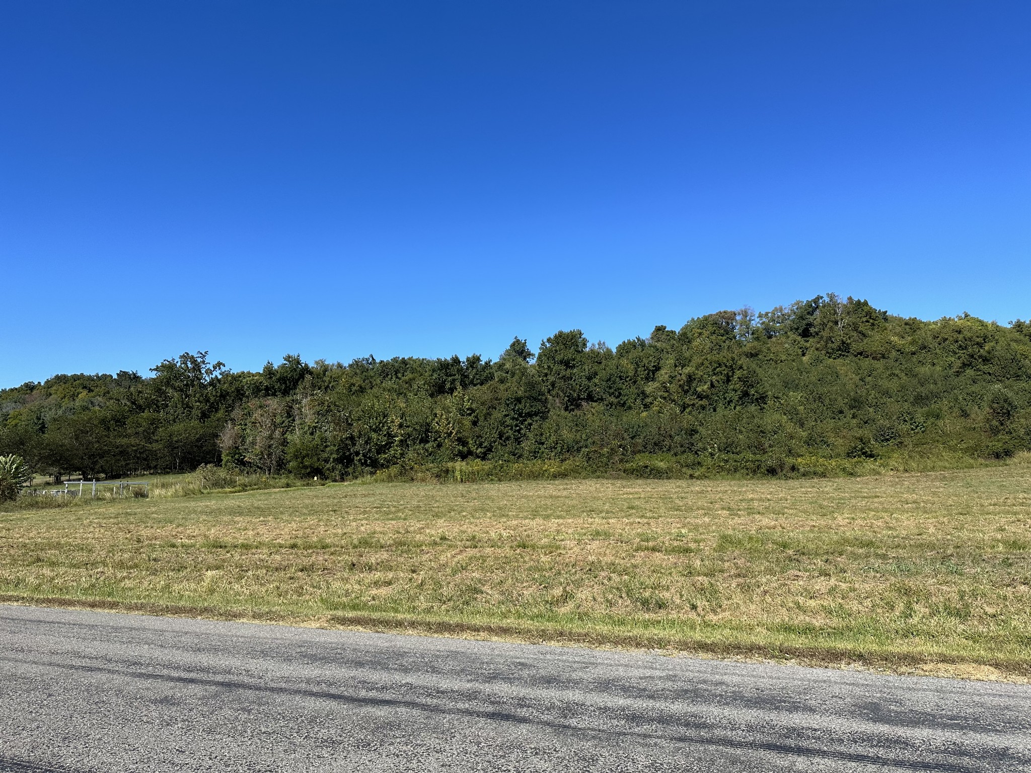 690 Happy Valley Road Bell Buckle, TN 37020 - Photo 5 of 7 Gallery Image 5