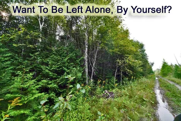 $39,500 | Lot 7 Off Pulcifer Road, Mapleton, ME 04757