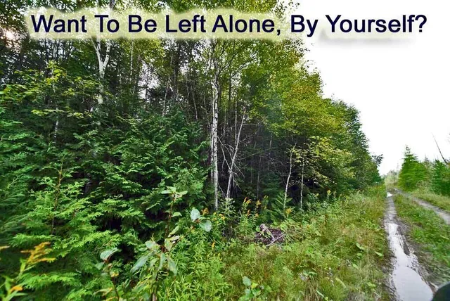 $39,500 | Lot 7 Off Pulcifer Road, Mapleton, ME 04757