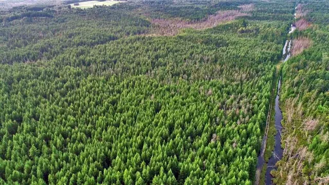 $39,500 | Lot 7 Off Pulcifer Road, Mapleton, ME 04757