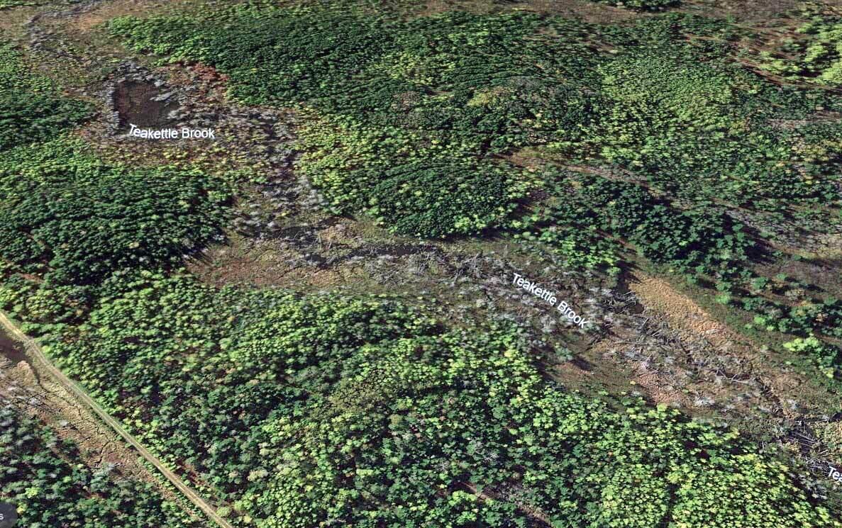 Lot 7 Off Pulcifer Road Mapleton, ME 04757 - Photo 9 of 11 mapleton-land-off=pulcifer-