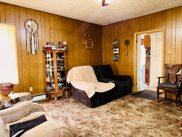 393 West Center Street Springville, UT 84663 - Photo 5 of 17