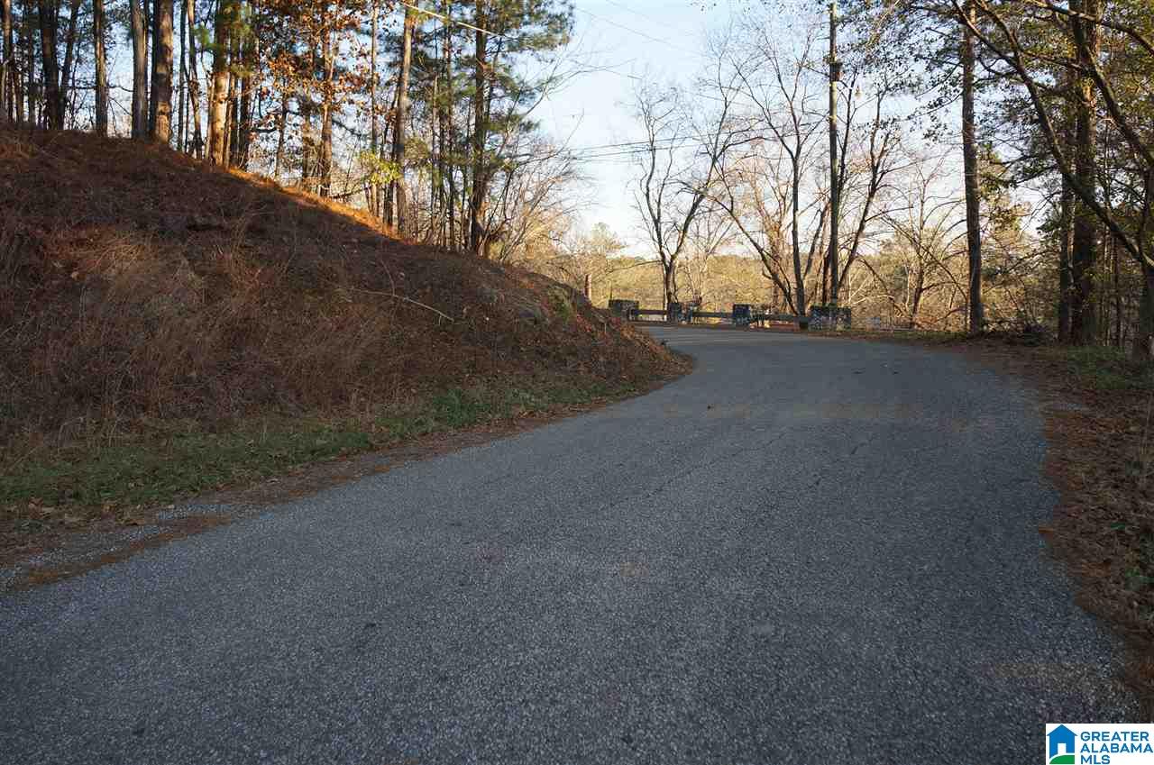0 Azalea Road, Unit 92 ACRES Sylacauga, AL 35150 - Photo 6 of 9