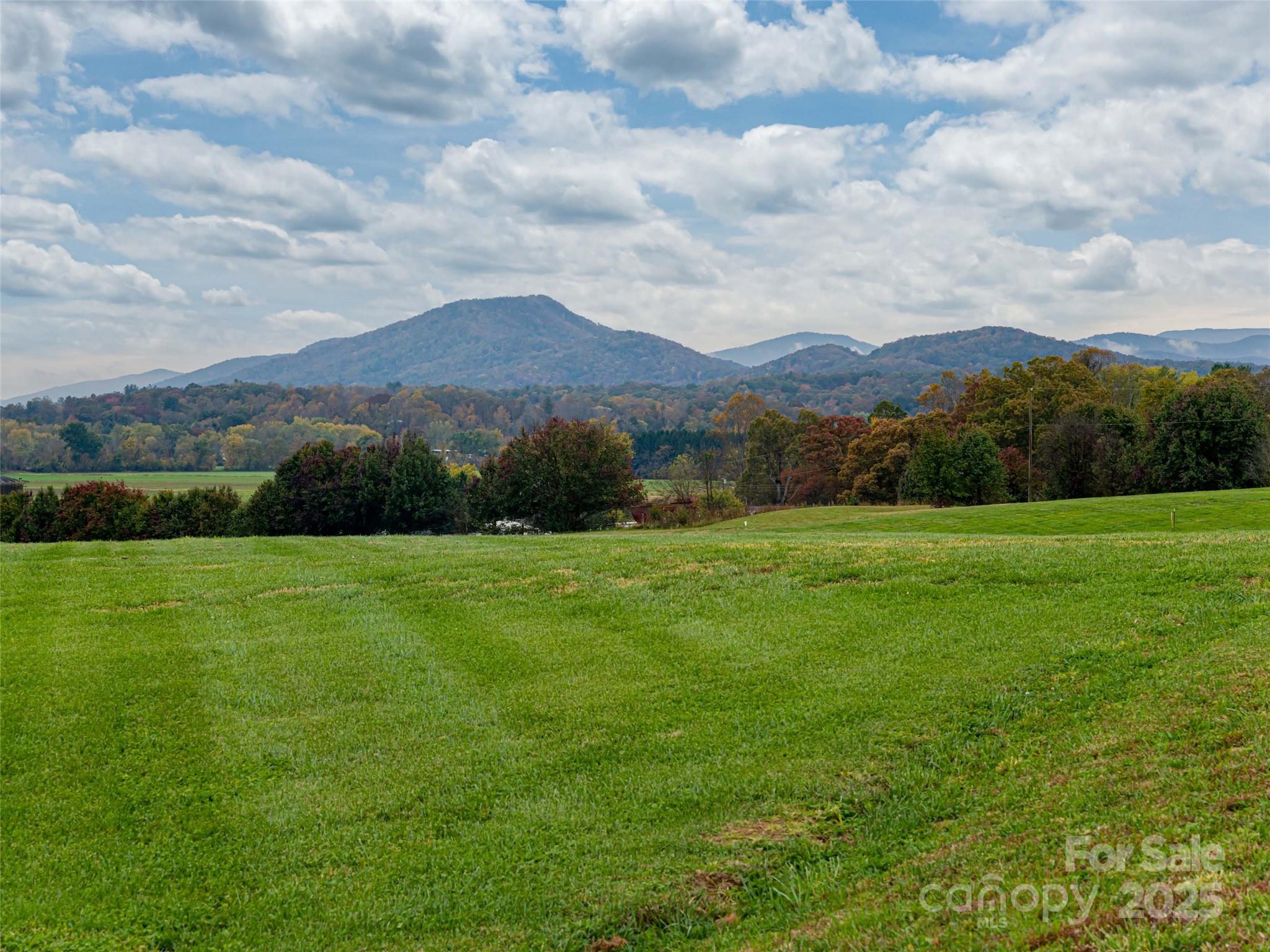 a view of an mountain and a yard