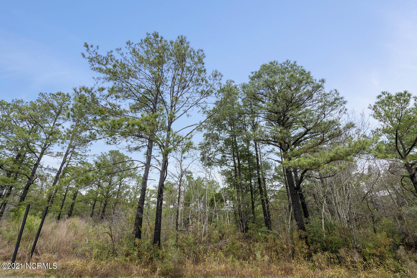 1.86-ac Old Folkstone Road Holly Ridge, NC 28445 - Photo 8 of 11 Road view