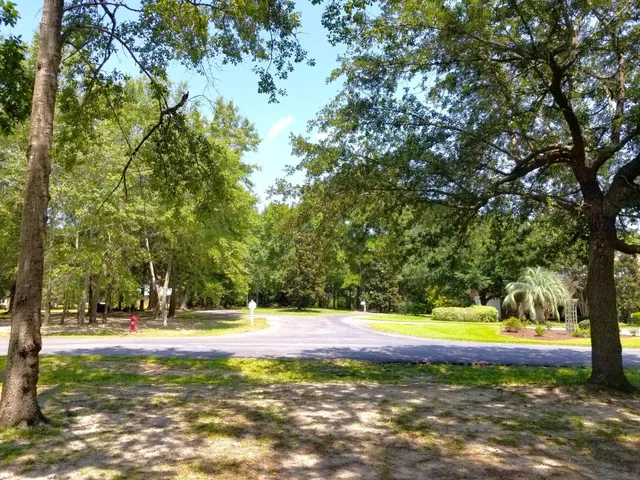 $339,500 | 256 Ridge Lake Drive, Manning, SC 29102