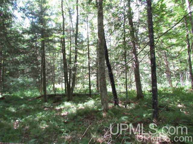 Tbd Tbd Paint River-6 Road, Unit 6 Crystal Falls, MI 49920 - Photo 2 of 4