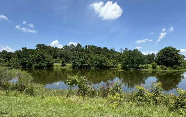 a room with lots of gym equipment