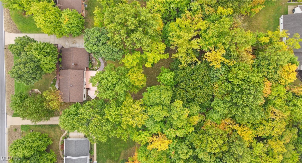 19206 Rashell Drive Bedford, OH 44146 - Photo 46 of 50