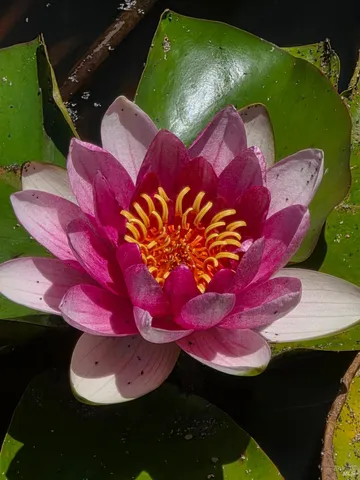 $525,000 | 13333 Low Gap Road, Ukiah, CA 95482