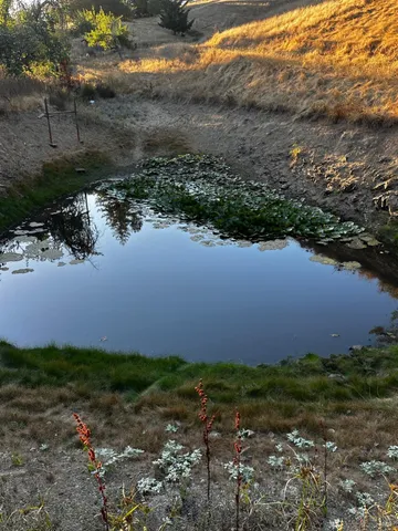 $525,000 | 13333 Low Gap Road, Ukiah, CA 95482