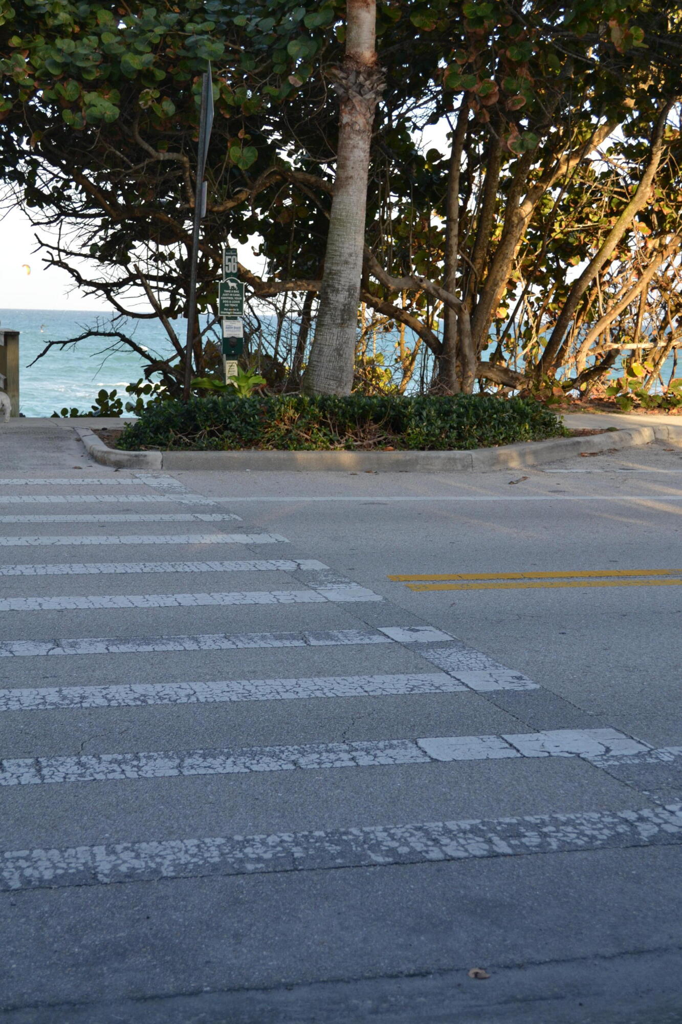 176 Seabreeze Circle Jupiter, FL 33477 - Photo 26 of 28 a view of backyard with green space