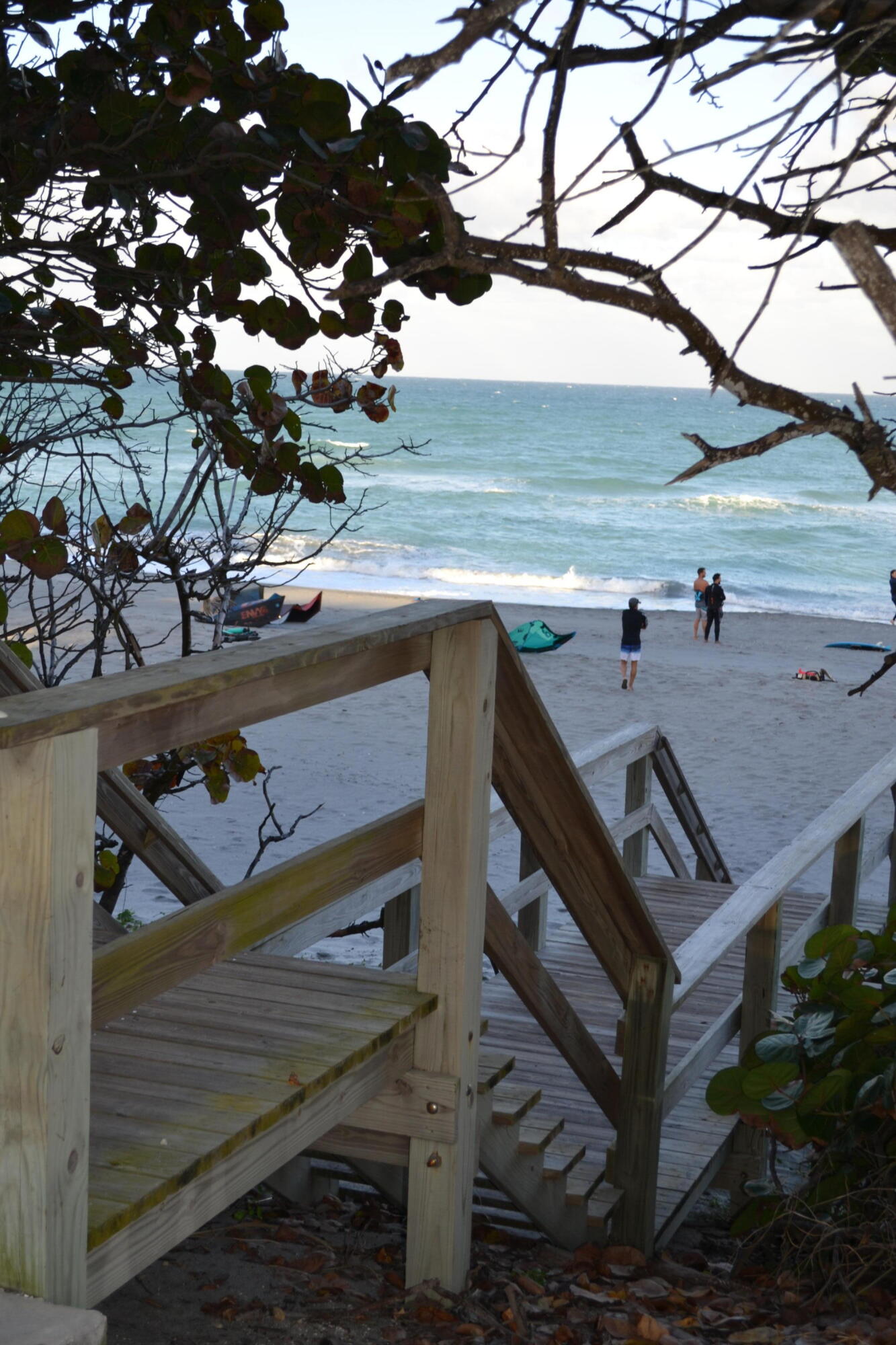 176 Seabreeze Circle Jupiter, FL 33477 - Photo 27 of 28 a view of a terrace with a tree