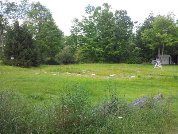 225 West Creek Road Candor, NY 13743 - Photo 4 of 6 Gallery Image 4