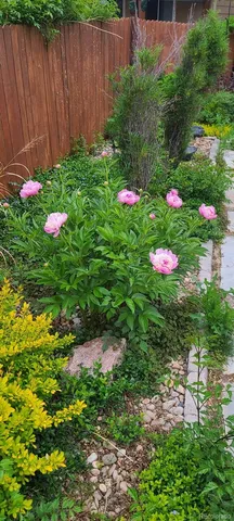 $689,900 | 6718 Thistle Ridge Avenue, Firestone, CO 80504