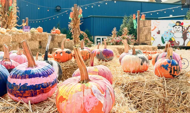 $219,000 | 225 Collier Drive, Unit 2212, Sevierville, TN 37862