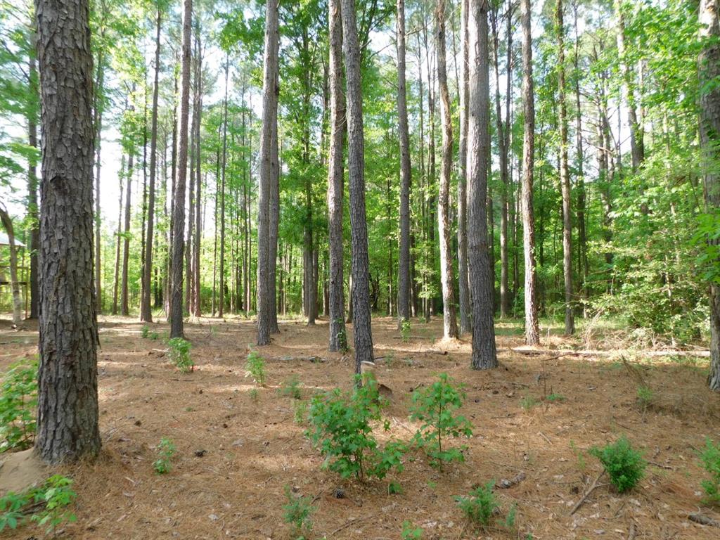 165 Rosewood Road Springhill, LA 71075 - Photo 11 of 27 a view of outdoor space with outdoor seating