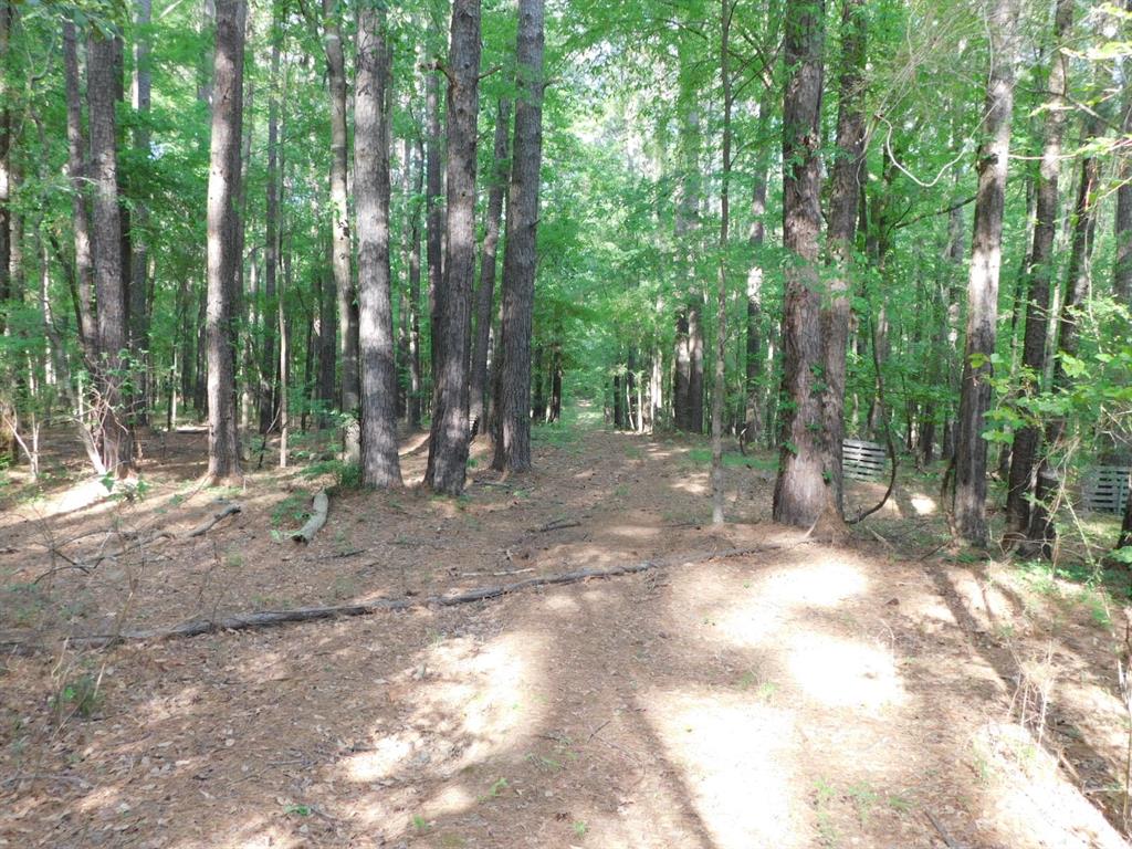 165 Rosewood Road Springhill, LA 71075 - Photo 12 of 27 a view of outdoor space and trees