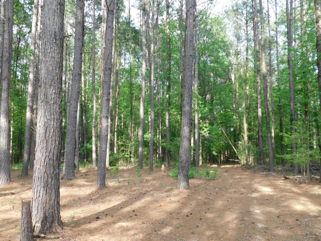 165 Rosewood Road Springhill, LA 71075 - Photo 2 of 27 a view of backyard with green space