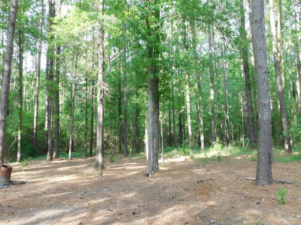 165 Rosewood Road Springhill, LA 71075 - Photo 4 of 27 a view of a forest with trees in the background