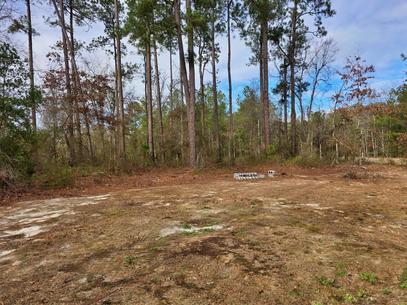 1014 Hull Lane Williston, SC 29853 - Photo 15 of 15 20260111211231872547000000-o