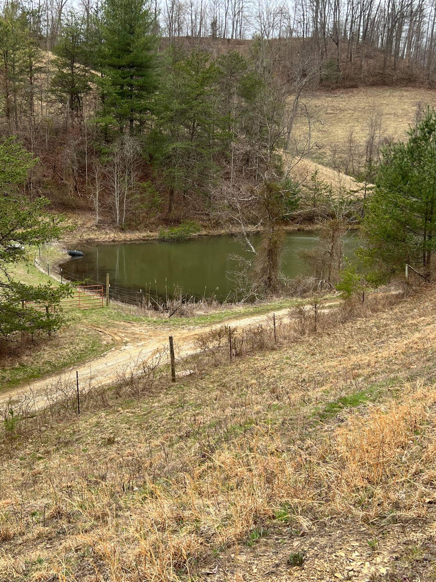 1 Dunn Road Campton, KY 41301 - Photo 15 of 69 IMG_7967