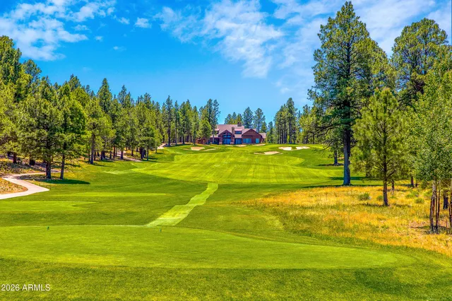 a view of a grassy area with an trees