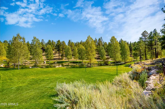 a view of a swimming pool with a garden