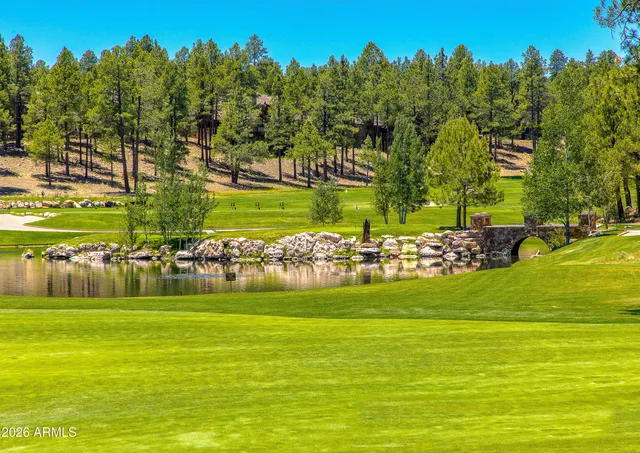 a view of a town with mountains in the background