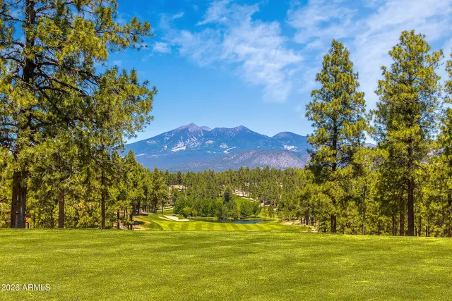 a view of a playground with basketball court