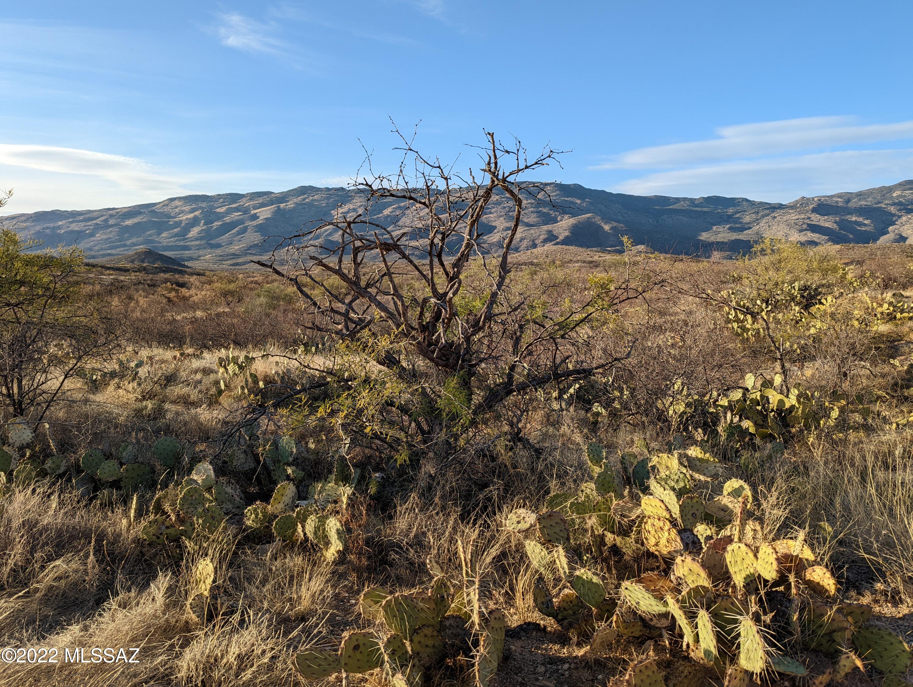1 South Pistol Hill Road Vail, AZ 85641 - Photo 16 of 17