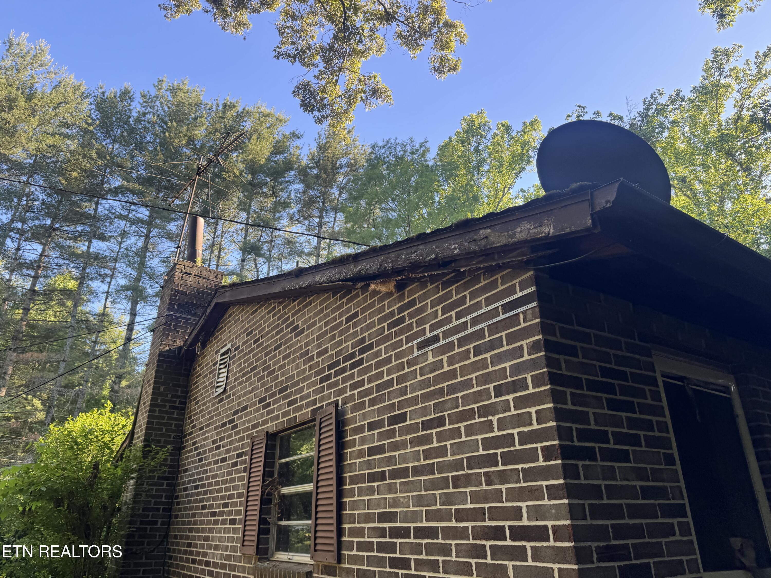 992 Chicken Hollow Road Newport, TN 37821 - Photo 25 of 37 IMG_8589