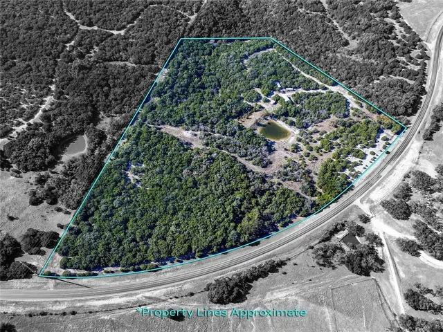 a view of a garden with plants