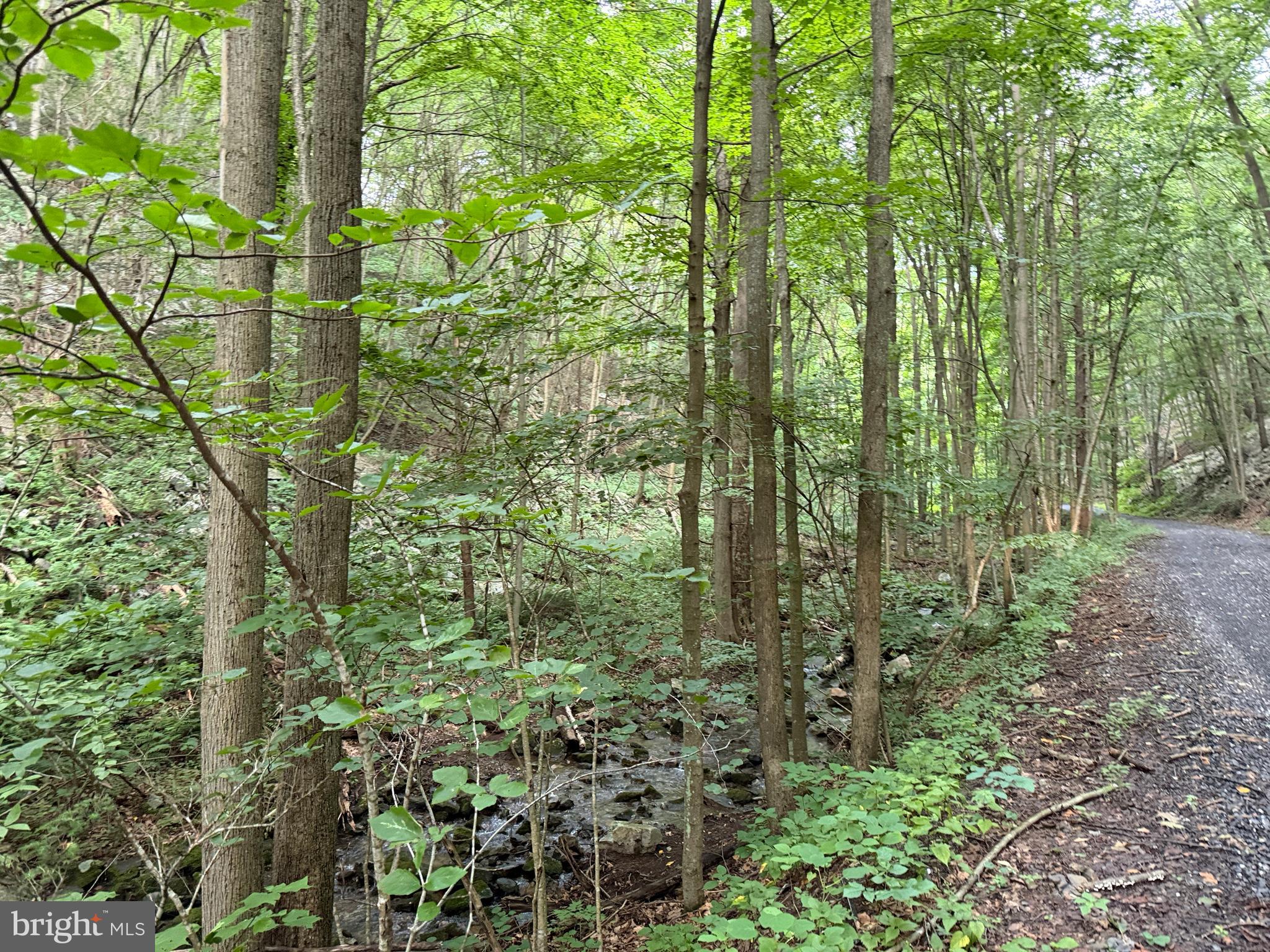 Three Laurel Mountain Road Three Springs, PA 17264 - Photo 33 of 74 Gallery Image 33