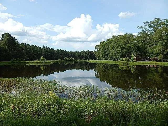 $650,000 | 64 River Road, Columbia, MS 39429