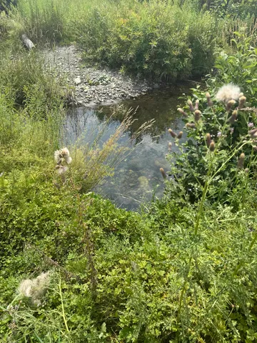 $229,000 | 2768 Us Route 2, Cabot, VT 05647