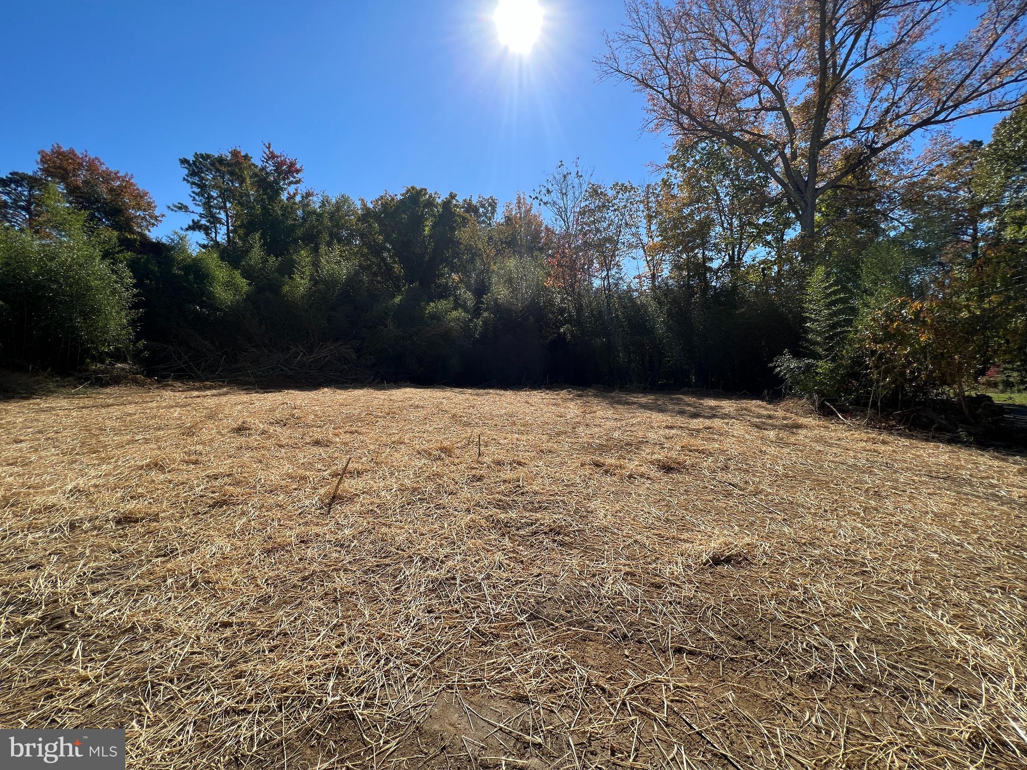 112 Shell Road Millville, NJ 08332 - Photo 10 of 32