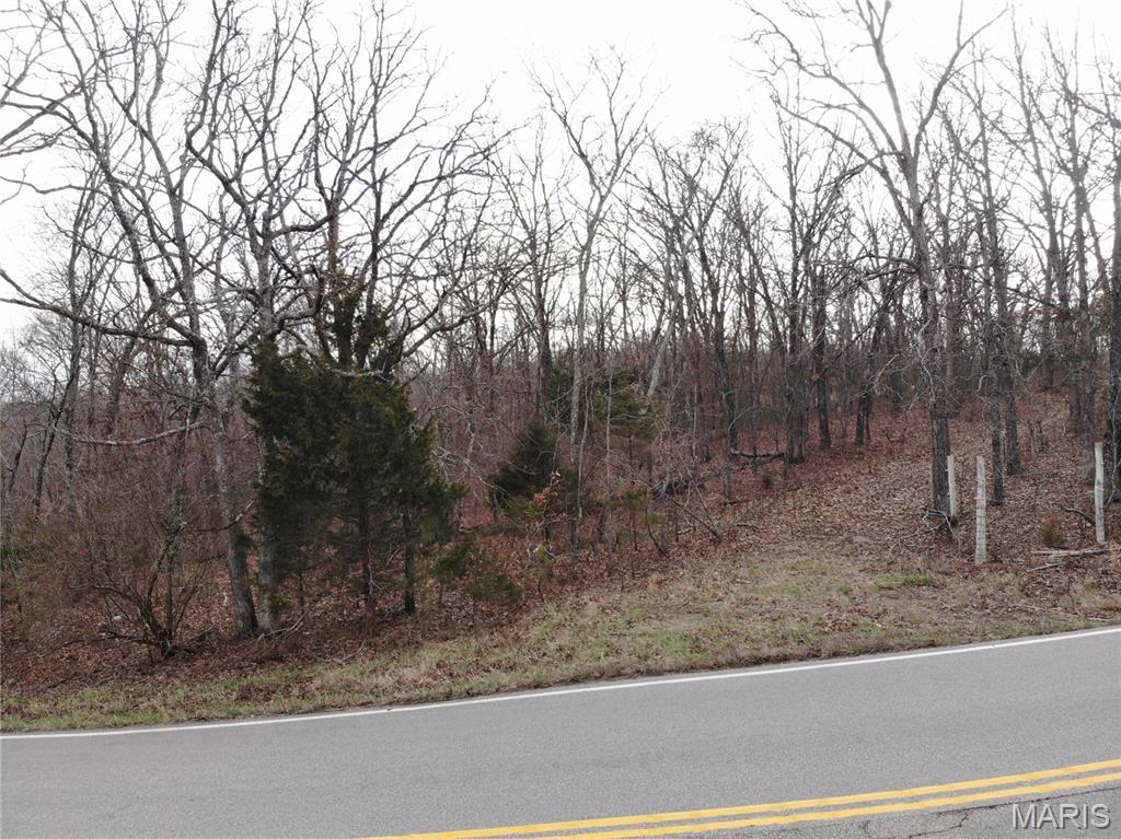 Tbb State Route North Bourbon, MO 65441 - Photo 2 of 12