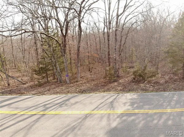 $74,650 | Tbb State Route North, Bourbon, MO 65441