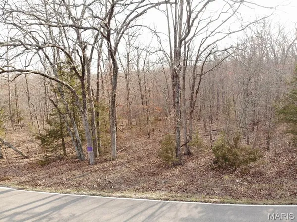$74,650 | Tbb State Route North, Bourbon, MO 65441