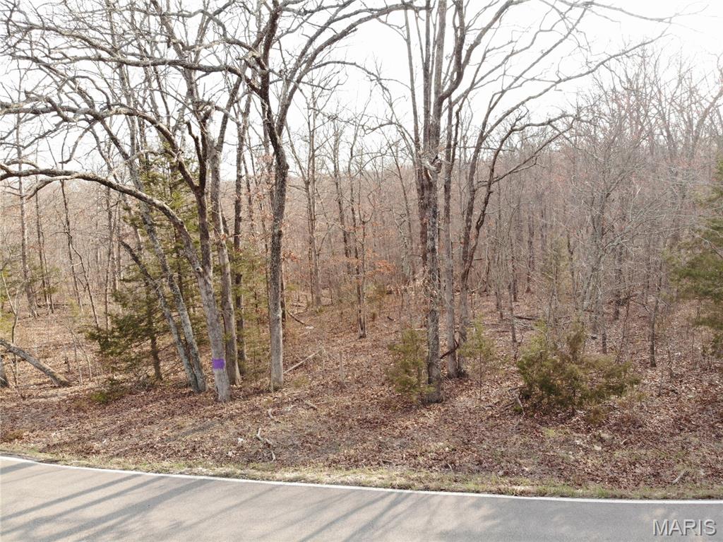 Tbb State Route North Bourbon, MO 65441 - Photo 6 of 12